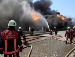 Boya Fabrikası Yangını Çevreye Büyük Zarar Verdi