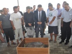 Carettaların Göç Yollarını Akademisyenlere “defne” Öğretecek