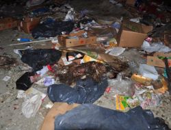 Çöp Alanında Onlarca Köpek Ölüsü Bulundu