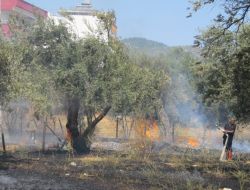 Boş Arsada Yangın Çıktı