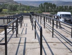 Zile'de Hayvan Pazarı Modernize Ediliyor