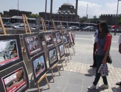 Mazlumder, Arakan Ve Suriye'ye Yardım Çağrısı Yaptı