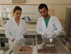 Mitolojinin Efsane Bitkisi Beyaz Nilüfer, Kansere Umut Oldu