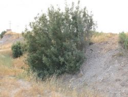 Askeri Araç 3 Saniyeyle Facianın Eşiğinden Döndü