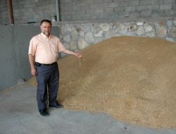 Buğday Geçen Yıla Göre Yüzde 50 Zamlandı