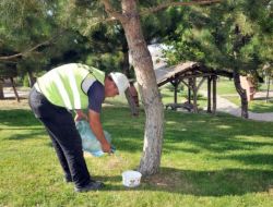 Sokak Hayvanları İçin Su Kapları Dağıtılıyor