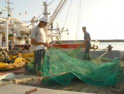 Trolcüler Av Yasağı Sezonunun Uzamasını İstiyor