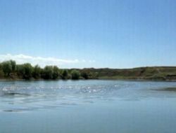 Nehirde Kaybolan Çoban Bulundu