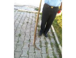 İtfaiyeden Yılan Yakalama Operasyonu