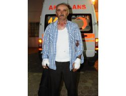 Sivas’ta Ayı Saldırdı, 1 Kişi Öldü, 1 Kişi Yaralandı