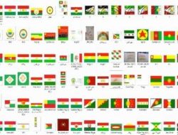 PYD BAYRAK ARAYIŞINA GİRDİ