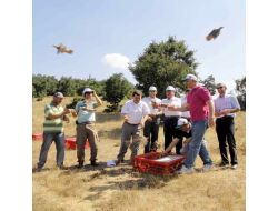 Kınalı Keklikler Bursa'da Doğaya Salındı