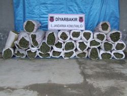 Diyarbakır'da 314 Kilo Esrar Gele Geçirildi