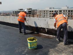 Çatı Uçmalarına 'Yeşil Çatı' İle Çözüm