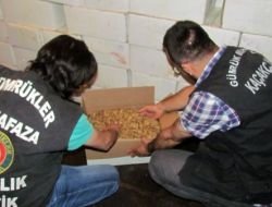 Yasa Dışı Yollarla Ülkeye Ceviz İçi Sokan 12 Kişi Yakalandı