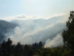 Kahramanmaraş'ta Orman Yangını