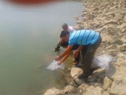 İSTANBUL'A SAZAN TAKVİYESİ