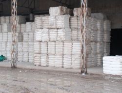 Pamuk Daha Modern Ortamda İşlenecek