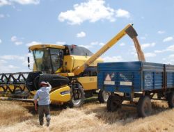 KURAKLIK ELBİSTAN’I DA VURDU
