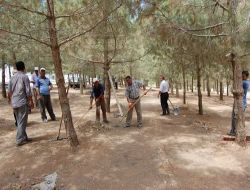 Sahabe Saffan Bin Muattal Türbesinde Bayram Temizliği Yapıldı