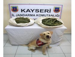 Otobüs Bagajındaki Valizde Esrar Maddesi