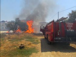 Evlerin Yakınındaki Otlukta Yangın Çıktı