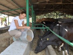 Alman Öğrenciler İzmir'de Hem Öğreniyor Hem Eğleniyor