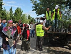 İlkadım Belediyesi, Mezarlıklarda Fidan Dağıttı