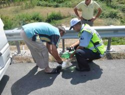 Tem'de Lastiği Patlayan Minibüs Devrildi: 6 Yaralı