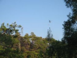 Marmaris’te Orman Yangını