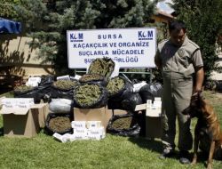 Polis Son 6 Ayda Kaçakçılık Yapan 145 Kişiyi Yakaladı