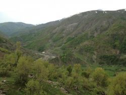 Diyarbakır-muş-bingöl Kırsalında Operasyon