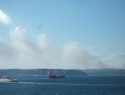 Çanakkale'de Orman Yangını