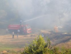 Manavgat'ta Çıkan Orman Yangını Söndürüldü