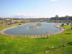 İzmir Doğal Yaşam Parkı’na Penguen Ve Su Samuru Geliyor