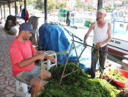 1 Eylül’de ‘vira Bismillah’ Diyecek Balıkçılar Hazırlıkları Sürdürüyor
