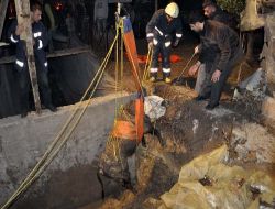 Çukura Düşen Kurbanlık 4 Saat Sonra Vinçle Kurtarıldı