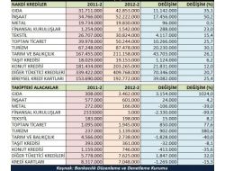 Bolu'da Nakdi Kredi Kullanımında Yüzde 23.6 Artış Yaşandı