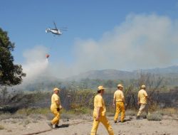 Fethiye’de Bir Hektar Sazlık Alan Kül Oldu