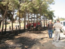 Burhaniye'deki Çamlık Yangını: 2 Kişi Gözaltına Alındı