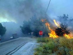 Alınan Önlemlerle Orman Yangınına 15 Dakika Müdahale Edilecek