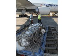 Japon Gazeteci Ülkesine Gönderildi