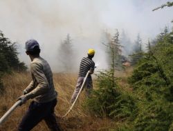 Eskişehir’de 20 Hektarlık Ağaçlandırma Sahası Yandı