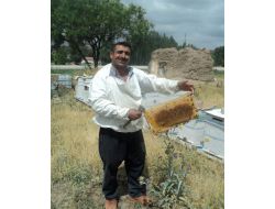 Boğazlıyan’da Bal Üretimi Yaygınlaşıyor