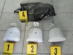 Çalılıklara Bıraktıkları Esrarı Almaya Gelince Yakalandılar