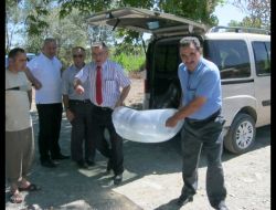 Erbaa’daki 3 Göle, 15 Bin Yavru Sazan Bırakıldı