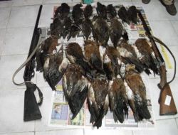 Dilek Yarımadası'nda Kaçak Avlananlar Yakalandı