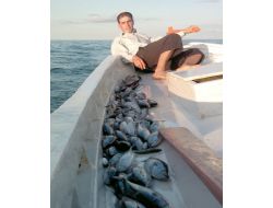 Amatör Balıkçıların Oltasına Takılan Palamutlar Balıkçıları Sevindiriyor