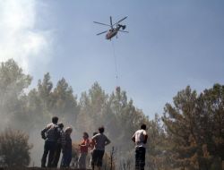 Ula'da Orman Yangını
