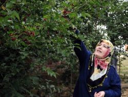 Köye Gelen Şehirli Kadınlar Hem Doğa Yürüyüşü Yapıyor Hem De Kızılcık Topluyor